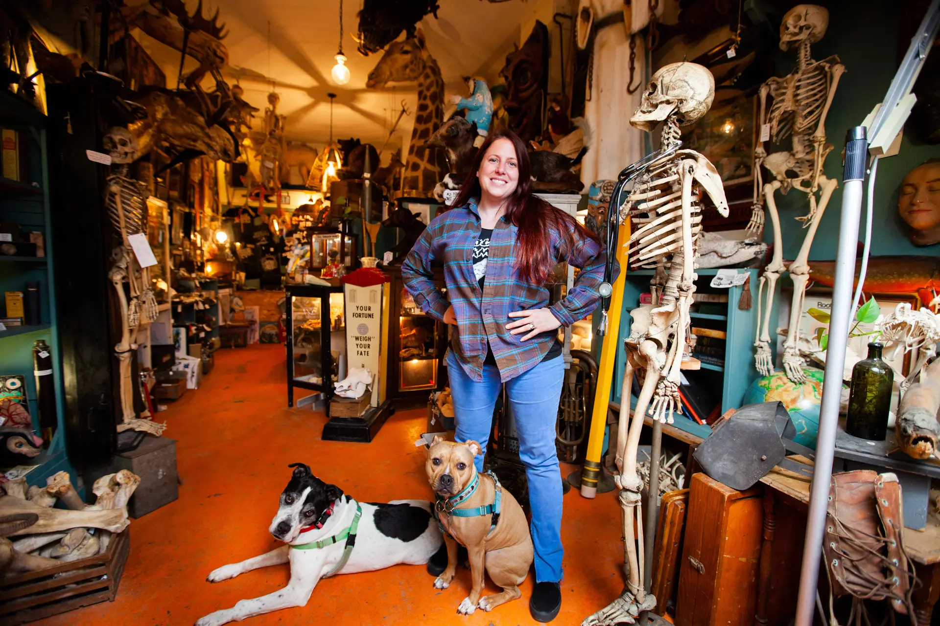 Keep Andersonville Weird: A Sit Down with Skye Rust of Woolly Mammoth